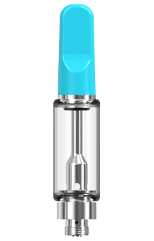UVJ53 Feature Image